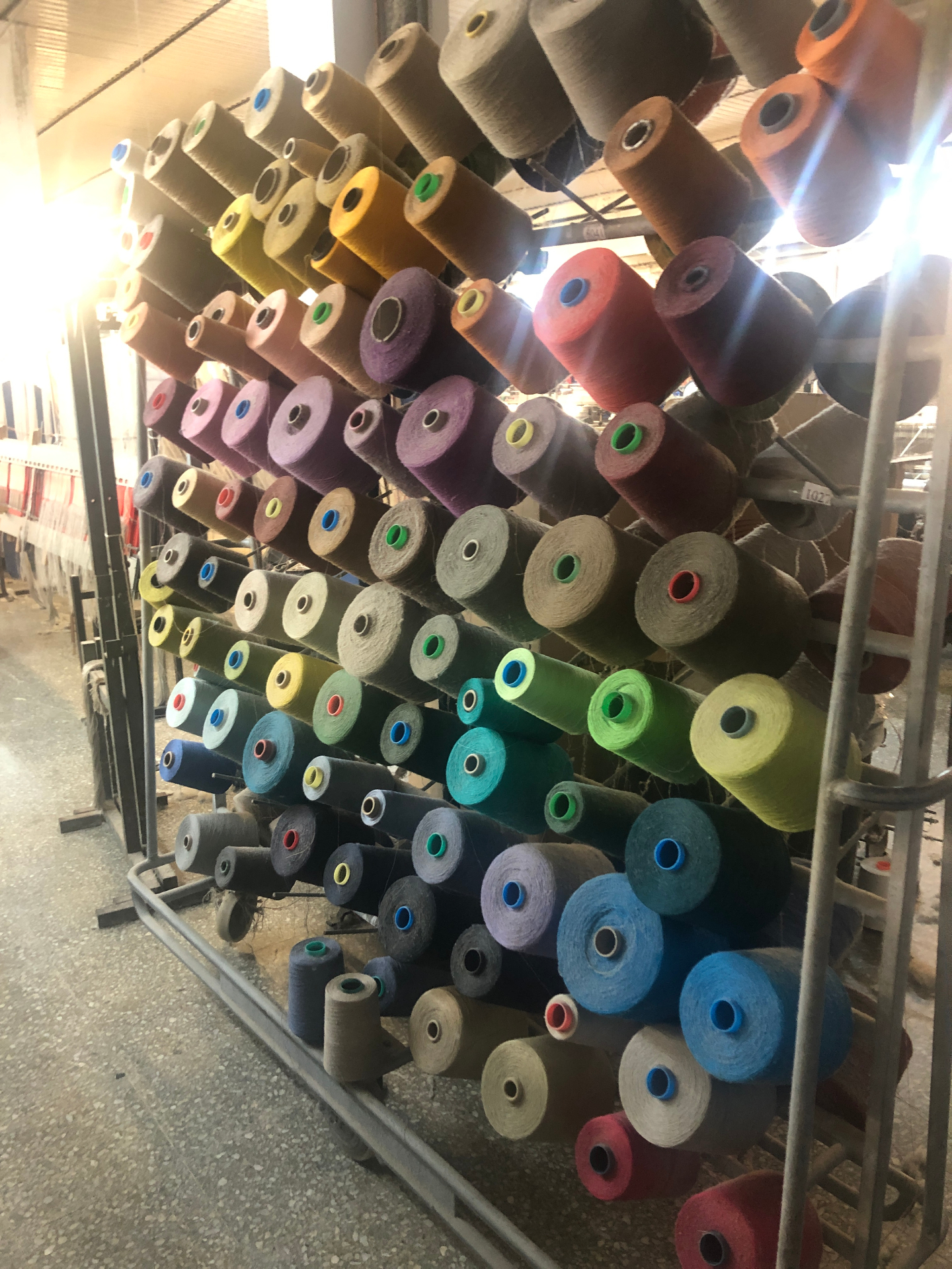 Colección de color